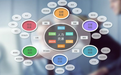 企业管理软件 企业数字化转型的核心引擎与开发策略